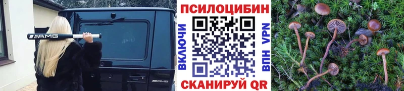 Купить  Красный Холм  Псилоцибиновые грибы Magic Shrooms 